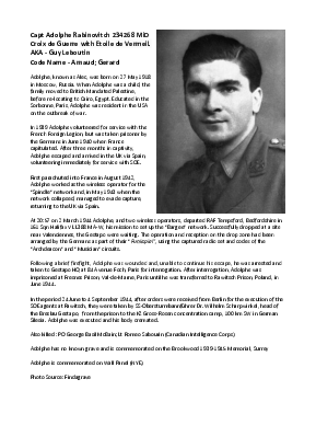 A preview of a PDF biography for Rabinovitch, Adolphe